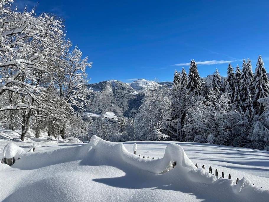 Chalet Alpage Proche Geneve Mégevette المظهر الخارجي الصورة