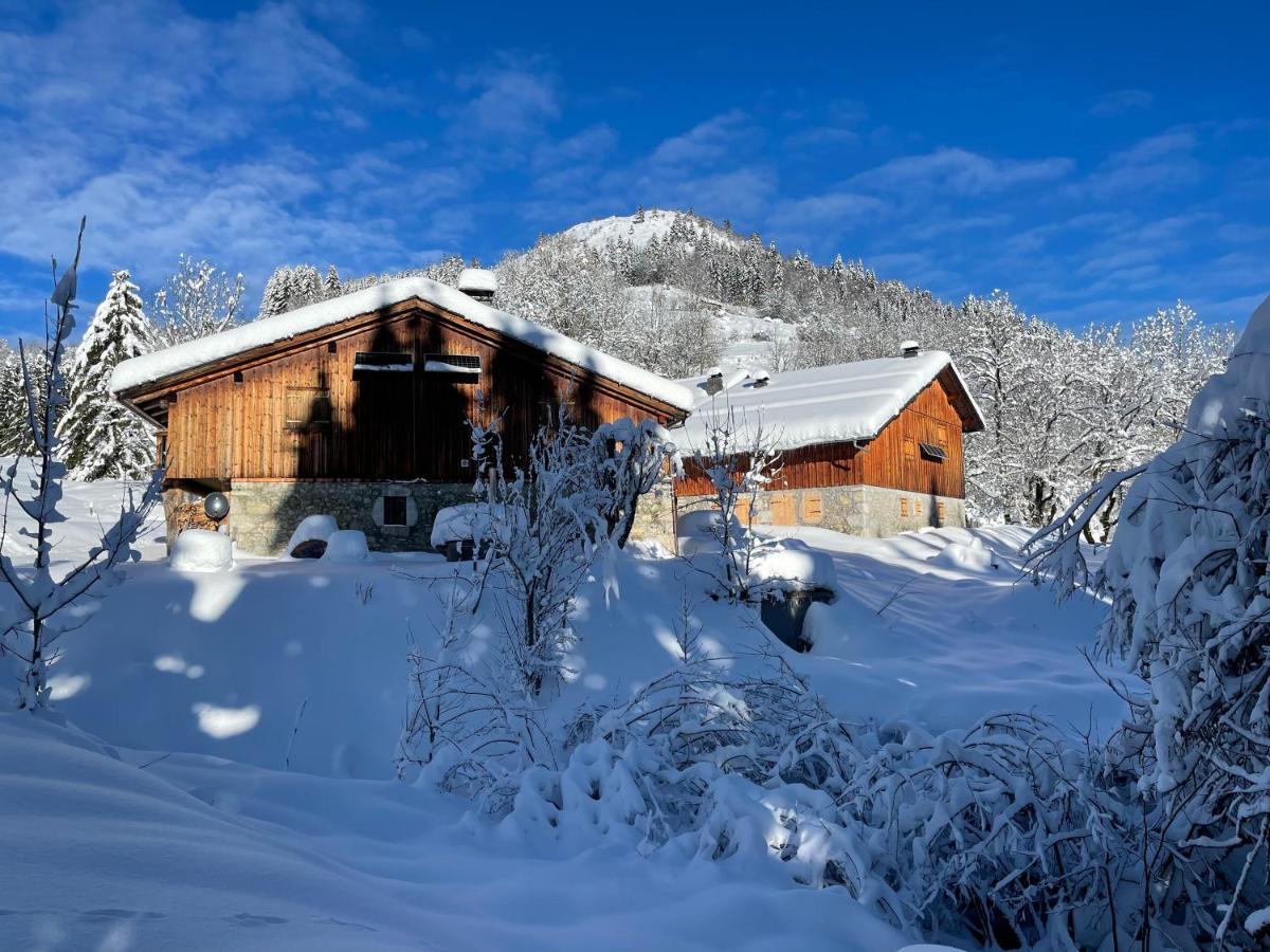 Chalet Alpage Proche Geneve Mégevette المظهر الخارجي الصورة