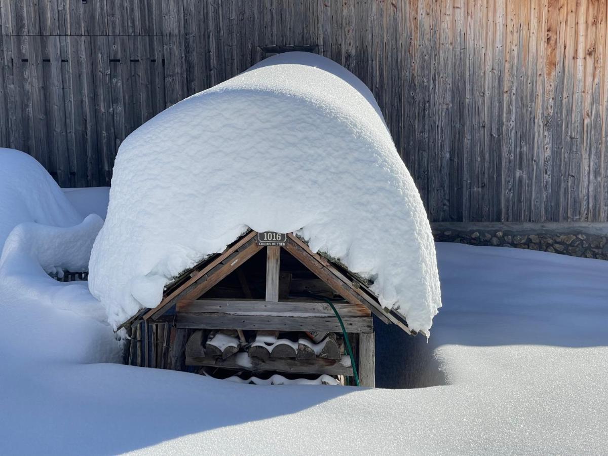 Chalet Alpage Proche Geneve Mégevette المظهر الخارجي الصورة