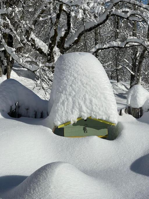 Chalet Alpage Proche Geneve Mégevette المظهر الخارجي الصورة