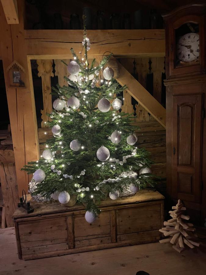 Chalet Alpage Proche Geneve Mégevette المظهر الخارجي الصورة