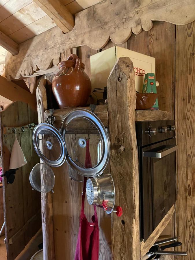 Chalet Alpage Proche Geneve Mégevette المظهر الخارجي الصورة