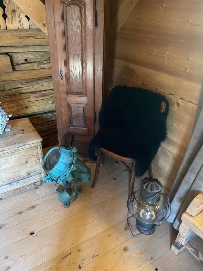 Chalet Alpage Proche Geneve Mégevette المظهر الخارجي الصورة