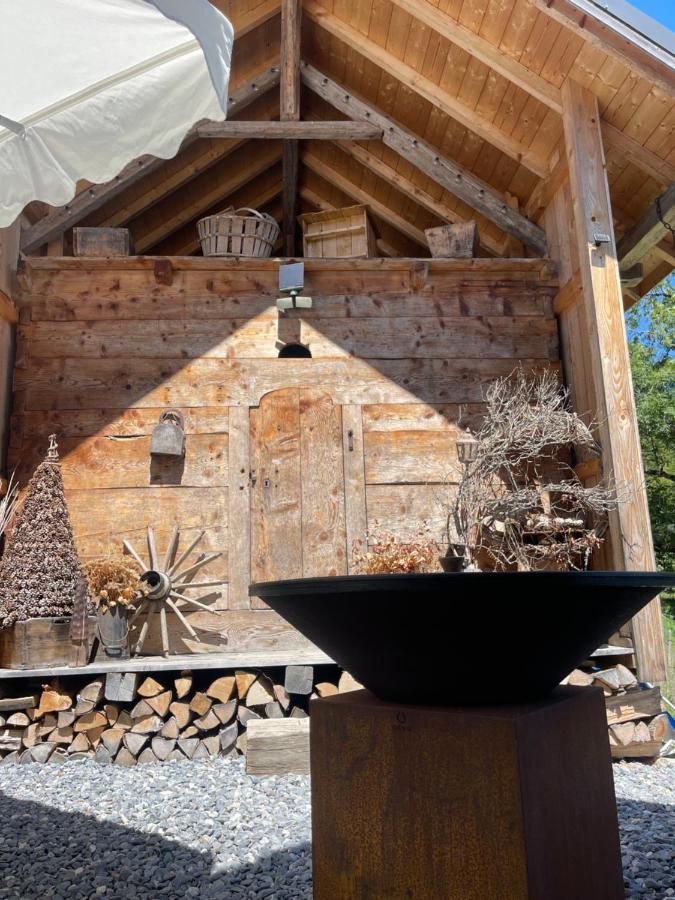 Chalet Alpage Proche Geneve Mégevette المظهر الخارجي الصورة